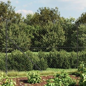 vidaXL Drôtený plot antracitový 1,6x25 m