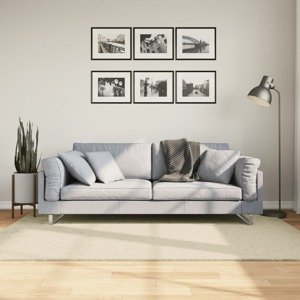 vidaXL Koberec HUARTE s krátkym vlakom umývateľný krémový 140x200 cm