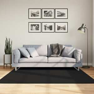 vidaXL Koberec HUARTE s krátkym vlakom umývateľný čierny 160x160 cm