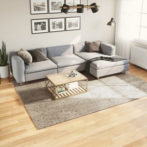 vidaXL Koberec ISTAN vysoký vlas lesklý vzhľad béžový 200x280 cm