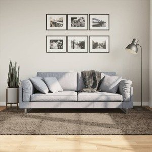 vidaXL Koberec ISTAN vysoký vlas lesklý vzhľad sivý 160x230 cm