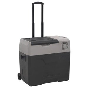 vidaXL Chladiaci box s kolieskom a rukoväťou čierno-sivý 36 l PP