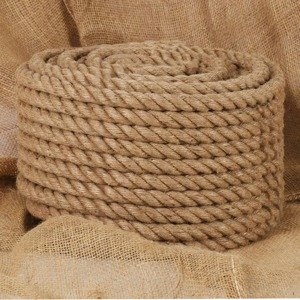 vidaXL Lano zo 100% juty, 20 mm, 50 m