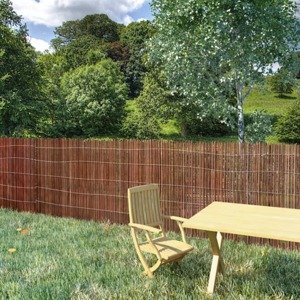 vidaXL Plot z vŕbového prútia 300x100 cm