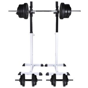 vidaXL Stojan na drepy so sadou činiek barbell a dumbbell 60,5 kg