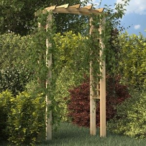 vidaXL Záhradný oblúk 110x60x210 cm impregnovaná masívna borovica
