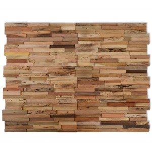 vidaXL Obkladové panely 10 ks 1,03 m², recyklované tíkové drevo