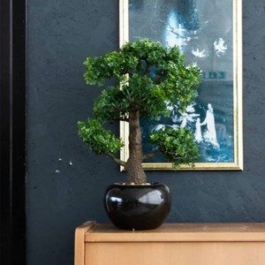 Emerald Umelý fikus v tvare mini bonsaja, zelený 47 cm 420006
