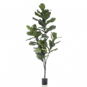 Emerald Umelý fikus lýrovitolistý 160 cm