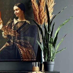Emerald Umelá rastlina Sanseveria s kvetináčom 84 cm