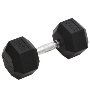vidaXL Jednoručná činka 25 kg liatina