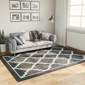 vidaXL Koberec umývateľný čierno-biely 160x230 cm protišmykový