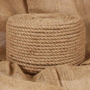 vidaXL Jutové lano 50 m dlhé 14 mm hrubé