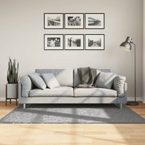 vidaXL Shaggy koberec PAMPLONA, vysoký vlas, moderný, sivý 120x170 cm