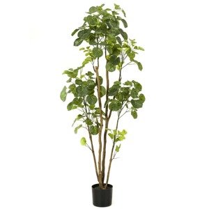 Emerald Umelá rastlina Polyscias v kvetináči 160 cm