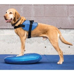 FitPAWS Balančný disk pre domáce zviera 36 cm modrý