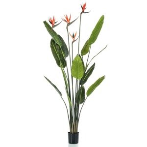 Emerald Umelý strom Strelitzia so 4 kvetmi v kvetináči 150 cm