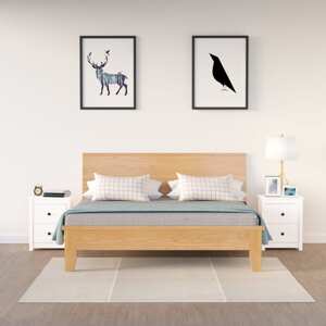 vidaXL Nočné stolíky 2 ks biele 50x35x61,5 cm masívne borovicové drevo