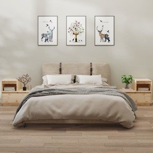 vidaXL Nočné stolíky 2 ks 60x34x51 cm masívne borovicové drevo