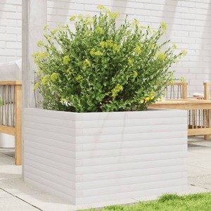 vidaXL Záhradný kvetináč biely 70x70x45,5 cm borovicový masív