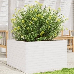 vidaXL Záhradný kvetináč biely 80x80x45,5 cm masívna borovica