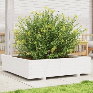 vidaXL Záhradný kvetináč biely 100x100x26,5 cm masívna borovica